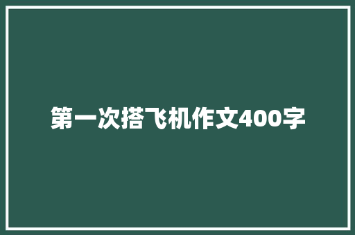 第一次搭飞机作文400字