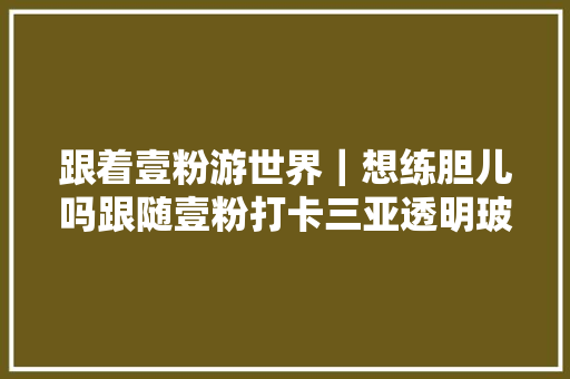 跟着壹粉游世界｜想练胆儿吗跟随壹粉打卡三亚透明玻璃栈桥