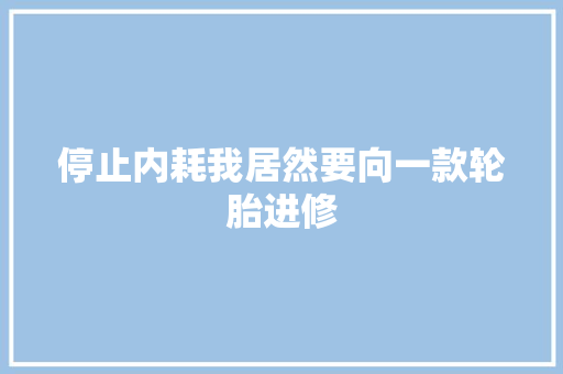 停止内耗我居然要向一款轮胎进修