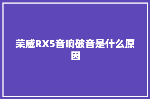 荣威RX5音响破音是什么原因