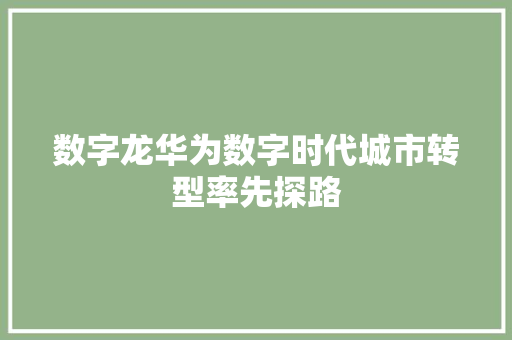 数字龙华为数字时代城市转型率先探路