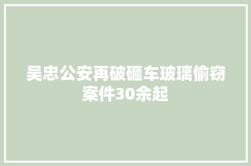 吴忠公安再破砸车玻璃偷窃案件30余起
