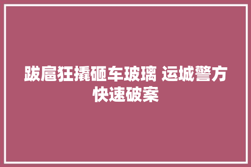 跋扈狂撬砸车玻璃 运城警方快速破案