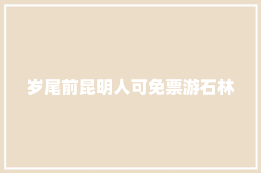 岁尾前昆明人可免票游石林