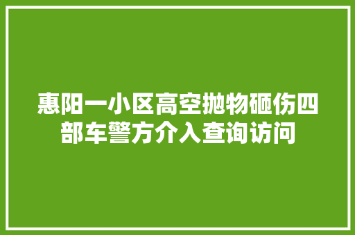 惠阳一小区高空抛物砸伤四部车警方介入查询访问