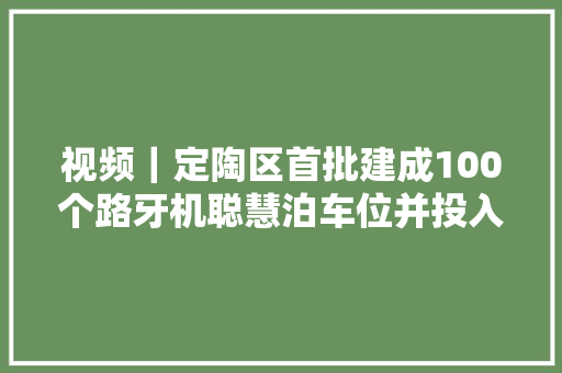 视频｜定陶区首批建成100个路牙机聪慧泊车位并投入试运营