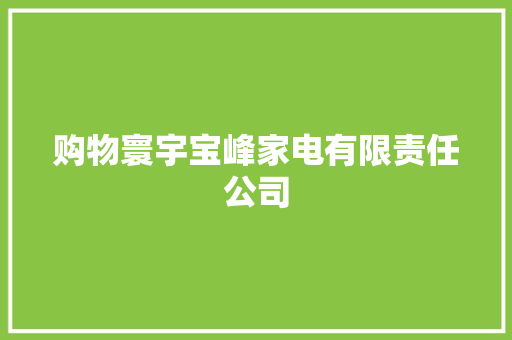 购物寰宇宝峰家电有限责任公司