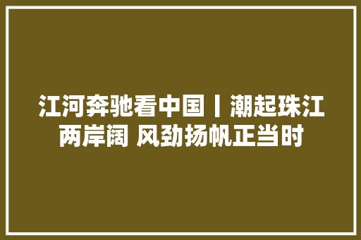 江河奔驰看中国丨潮起珠江两岸阔 风劲扬帆正当时