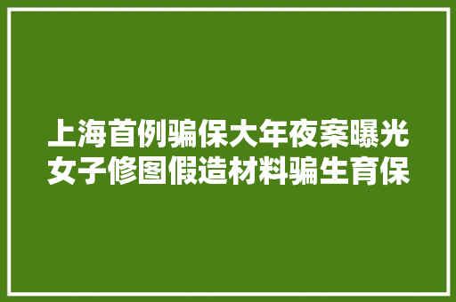 上海首例骗保大年夜案曝光女子修图假造材料骗生育保险基金终落网