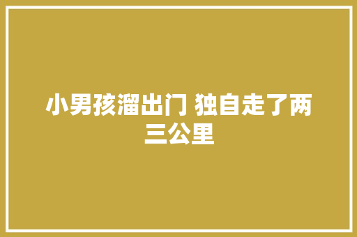 小男孩溜出门 独自走了两三公里