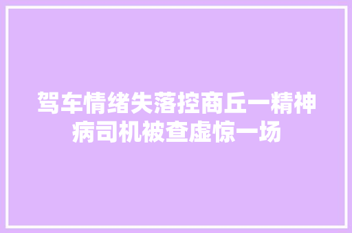 驾车情绪失落控商丘一精神病司机被查虚惊一场