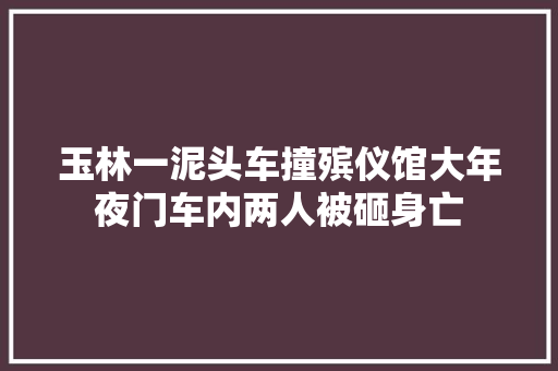 玉林一泥头车撞殡仪馆大年夜门车内两人被砸身亡