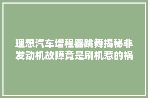 理想汽车增程器跳舞揭秘非发动机故障竟是刷机惹的祸