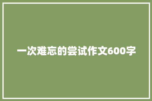 一次难忘的尝试作文600字