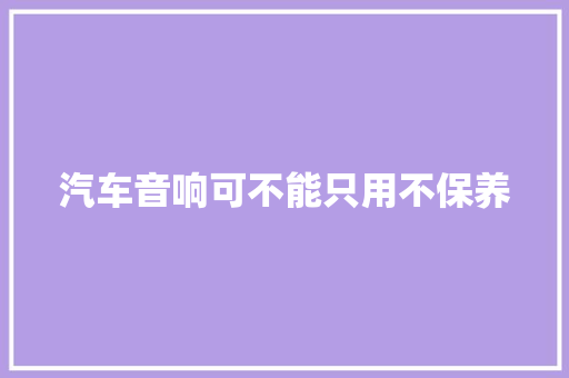 汽车音响可不能只用不保养