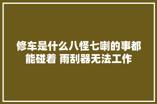 修车是什么八怪七喇的事都能碰着 雨刮器无法工作