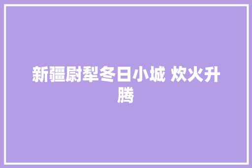 新疆尉犁冬日小城 炊火升腾
