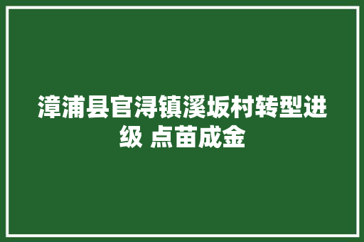 漳浦县官浔镇溪坂村转型进级 点苗成金