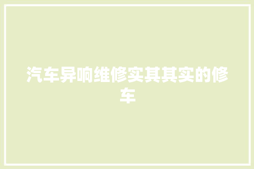 汽车异响维修实其其实的修车
