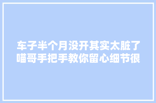 车子半个月没开其实太脏了喵哥手把手教你留心细节很重要