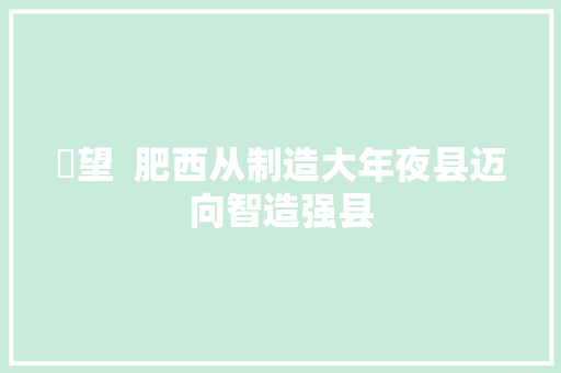 瞭望  肥西从制造大年夜县迈向智造强县