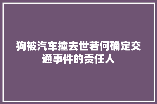 狗被汽车撞去世若何确定交通事件的责任人