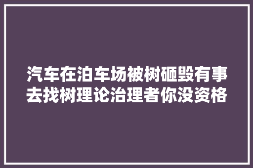 汽车在泊车场被树砸毁有事去找树理论治理者你没资格采访我 汽车知识