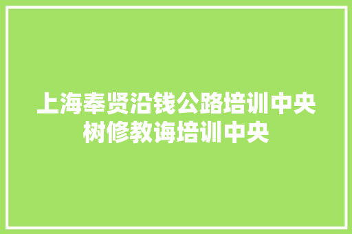 上海奉贤沿钱公路培训中央树修教诲培训中央
