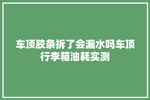 车顶胶条拆了会漏水吗车顶行李箱油耗实测