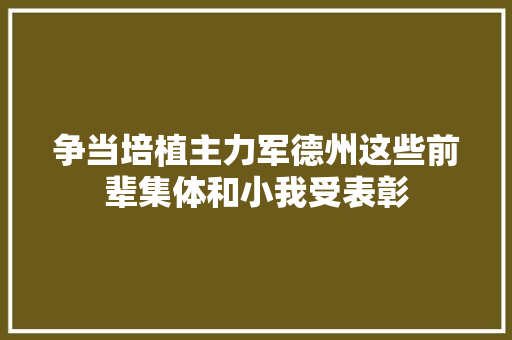 争当培植主力军德州这些前辈集体和小我受表彰
