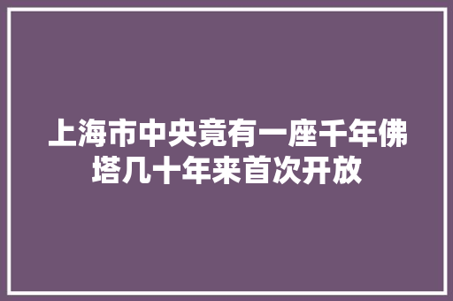 上海市中央竟有一座千年佛塔几十年来首次开放