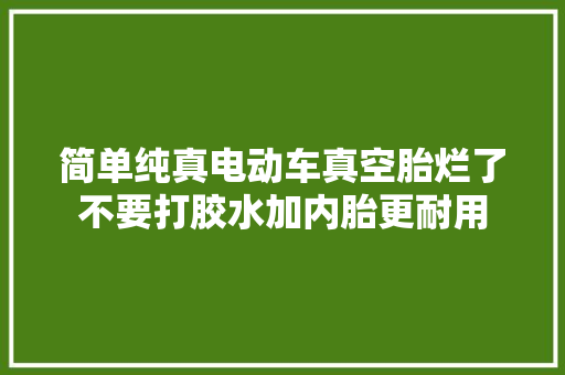 简单纯真电动车真空胎烂了不要打胶水加内胎更耐用
