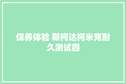 保养体验 斯柯达柯米克耐久测试四