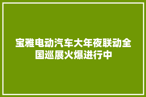 宝雅电动汽车大年夜联动全国巡展火爆进行中