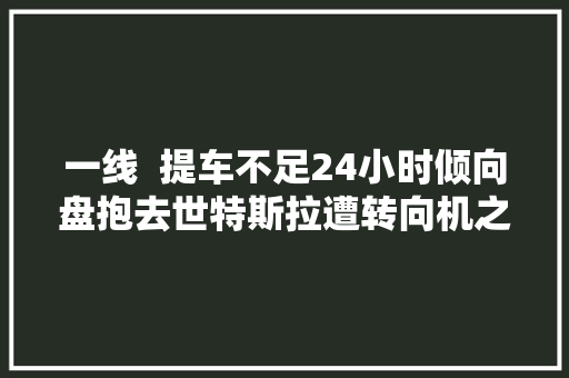 一线  提车不足24小时倾向盘抱去世特斯拉遭转向机之痛