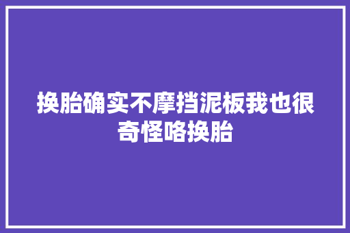 换胎确实不摩挡泥板我也很奇怪咯换胎