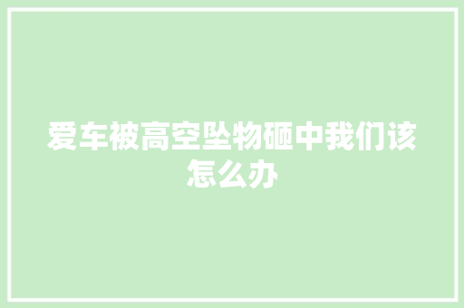 爱车被高空坠物砸中我们该怎么办