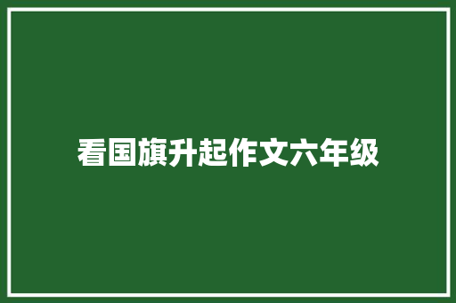 看国旗升起作文六年级