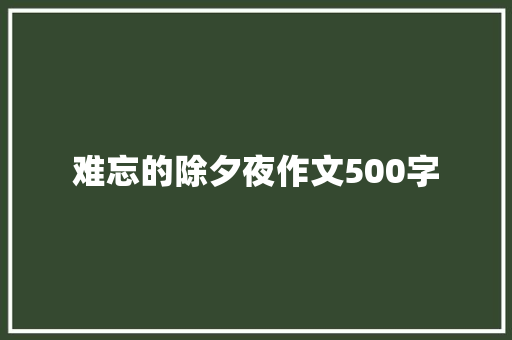 难忘的除夕夜作文500字