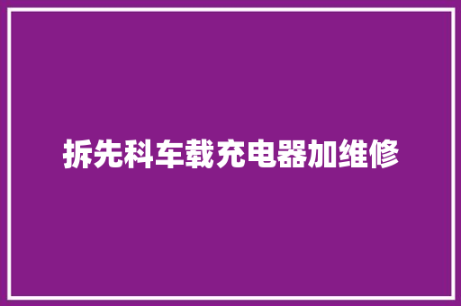 拆先科车载充电器加维修
