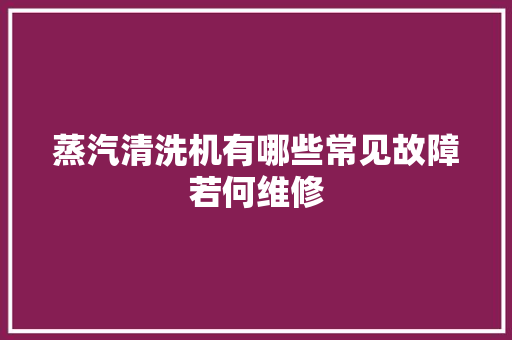 蒸汽清洗机有哪些常见故障若何维修