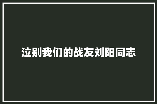 泣别我们的战友刘阳同志
