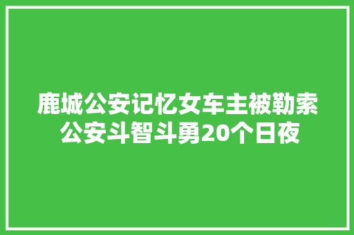 鹿城公安记忆女车主被勒索 公安斗智斗勇20个日夜