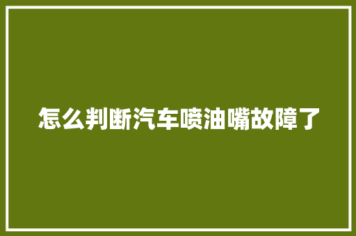 怎么判断汽车喷油嘴故障了