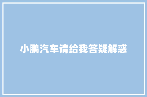 小鹏汽车请给我答疑解惑