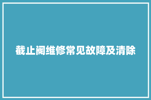截止阀维修常见故障及清除