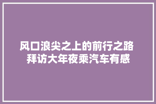 风口浪尖之上的前行之路 拜访大年夜乘汽车有感