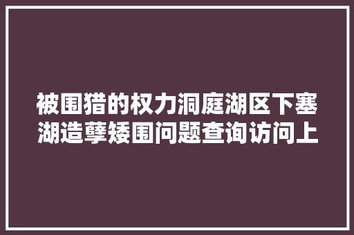 被围猎的权力洞庭湖区下塞湖造孽矮围问题查询访问上