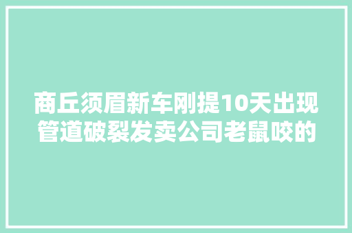 商丘须眉新车刚提10天出现管道破裂发卖公司老鼠咬的