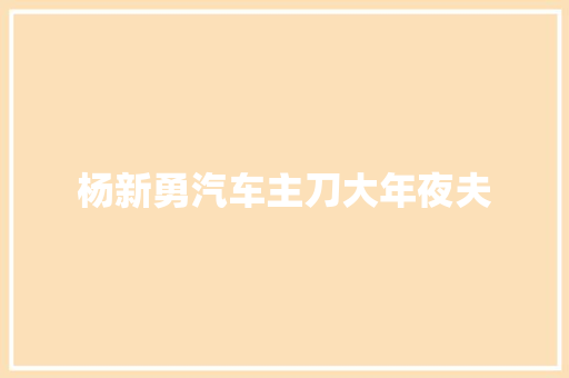 杨新勇汽车主刀大年夜夫